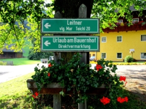 Schild (Medium)